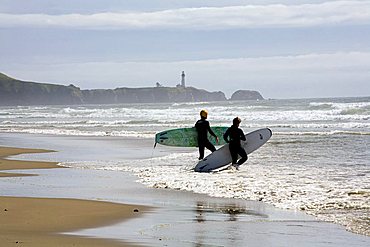 Beverly Beach State Park, Oregon Coast, United States of America (U.S.A.), North America