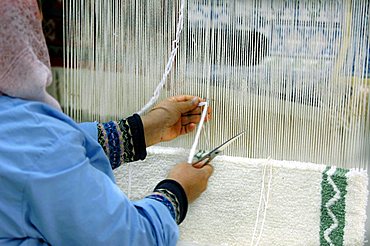 Weaver, Sidi Bou Said, Tunisia, North Africa, Africa