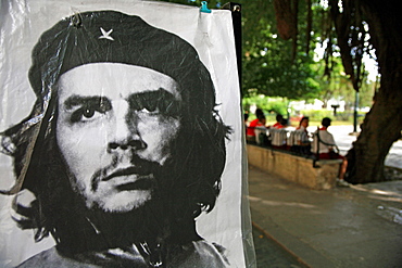 Che Guevara poster, Havana, Cuba, West Indies, Central America