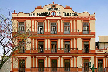 Partagas Tobacco factory, Havana, Cuba, West Indies, Central America