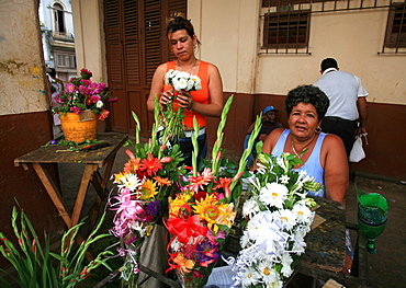 Florist, Havana, Cuba island, West Indies, Central America