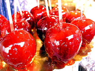 Caramelled apples, a Christmas sweet, Trentino Alto Adige, Italy, Europe