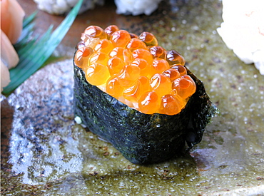 Ikura Sushi, Japanese food, Japan, Asia