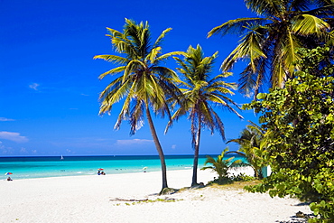 Varadero, Matanzas, Cuba Island, West Indies, Central America