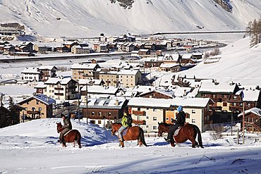 Excursion with horse, Livigno, Lombardy, Italy