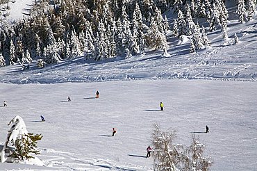 Bondone Mount, Trentino Alto Adige, Italy 