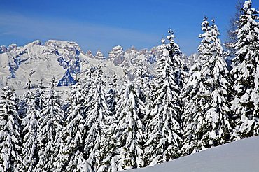 Bondone Mount, Trentino Alto Adige, Italy 