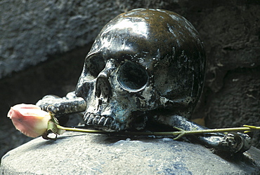 Skull, Purgatorio church, Naples, Campania, Italy