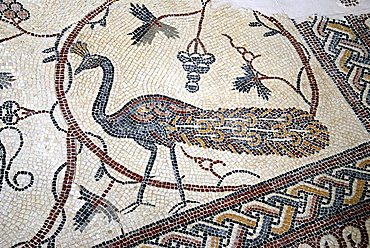 Mosaic, Mount Nebo, Jordan, Middle East