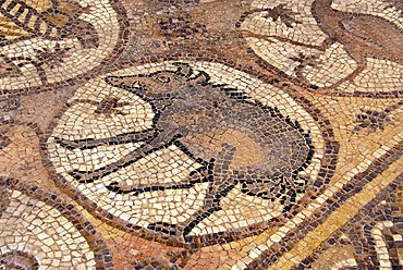 Mosaics in the Byzantine church, Archaeological site of Petra, Jordan, Middle East