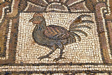 Mosaics in the Byzantine church, Archaeological site of Petra, Jordan, Middle East