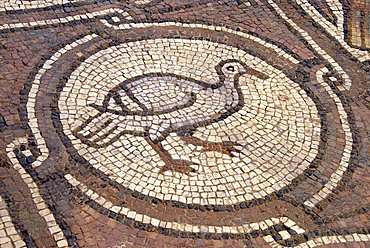 Mosaics in the Byzantine church, Archaeological site of Petra, Jordan, Middle East