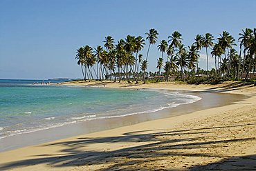 Landscape, Punta Cana, Dominican Republic, West Indies, Central America