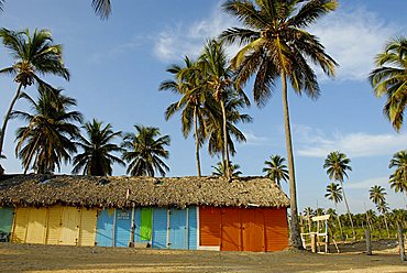 Traditional huts, Punta Cana, Dominican Republic, West Indies, Central America