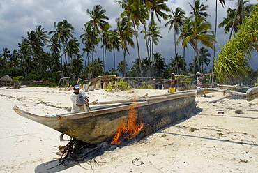 Antiparasitics treatment on a traditional fishing boat, Zanzibar, United Republic of Tanzania, Africa