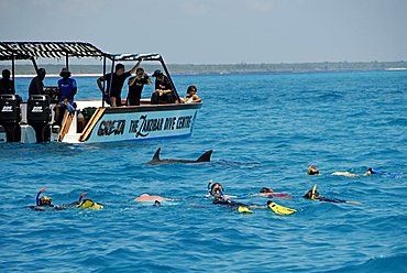 Diving with dolphins, Mnemba Atoll, Zanzibar, United Republic of Tanzania, Africa