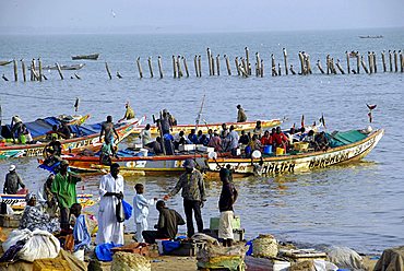 Fishmarket at port, M'Bour, Republic of Senegal, Africa