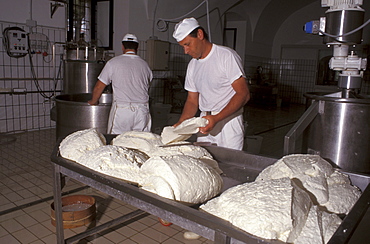 Preparation of the Mozzarella di Bufala, Piana del Sele, Campania, Italy