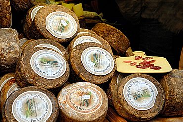 Cheese, Pecorino Val d'Orcia, Siena province, Tuscany, Italy