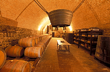 The winery, Castello Rivalta, Emilia-Romagna, Italy