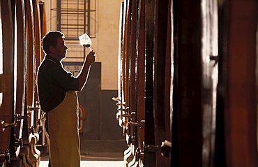 Winery of Brolio, Gaiole in Chianti, Tuscany, Italy