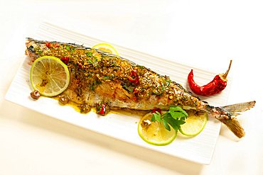 Sgombro grigliato in salsa piccante, grilled mackerel in spice and chili sauce