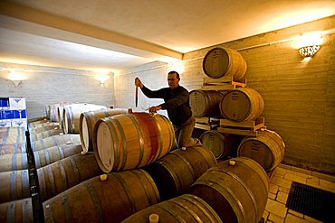 Wine cellar, Cantina Vinicola Botrugno, Brindisi, Puglia, Italy