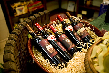 Wine cellar, Cantina Vinicola Botrugno, Brindisi, Puglia, Italy