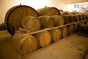 Santa Barbara cellar, San Pietro Vernotico, Puglia, Italy