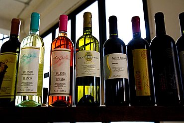 Bottles, Santa Barbara cellar, San Pietro Vernotico, Puglia, Italy