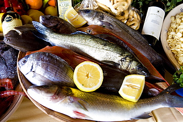 Typical Apulian fishes, Porta Nova restaurant, Ostuni, Puglia, Italy