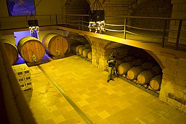 Cellar, Tenute Al Bano Carrisi, Cellino San Marco, Puglia, Italy