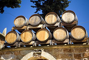 Cellar, Tenute Al Bano Carrisi, Cellino San Marco, Puglia, Italy