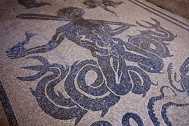 mosaic of Herculaneum, a large Roman town destroyed in 79AD by a volcanic eruption from Mount Vesuvius, UNESCO World Heritage Site, Ercolano, Naples, Campania, Italy, Europe