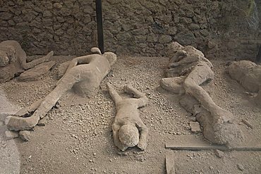 plaster victim of Pompei, a large Roman town destroyed in 79AD by a volcanic eruption from Mount Vesuvius, UNESCO World Heritage Site, Pompei, Naples, Campania, Italy, Europe