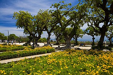 Montjuic park, Barcelona, Spain, Europe