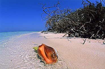Beach, Farasan Island, Red Sea, Saudi Arabia, Middle East