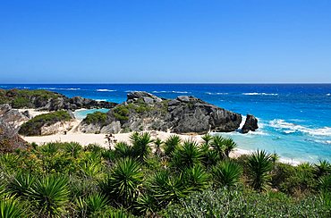 Horseshoe Bay, Bermuda, Atlantic Ocean, Central America