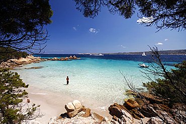 Cala Conneri, Isola Spargi, archipelago della Maddalena, La Maddalena,  Olbia Tempio,  Gallura,  Sardinia, Italy, Europe