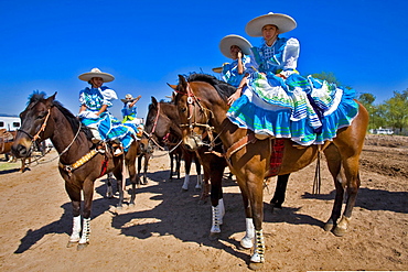 Rodeo, Buckeye, Maricopa County, Arizona, United States of America, North America 