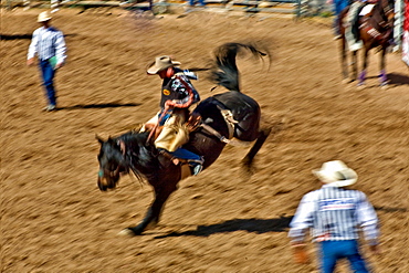 Rodeo, Buckeye, Maricopa County, Arizona, United States of America, North America 