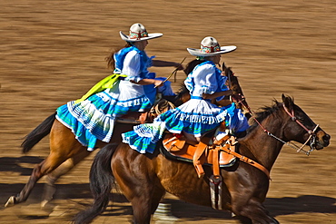 Rodeo, Buckeye, Maricopa County, Arizona, United States of America, North America 