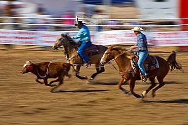 Rodeo, Buckeye, Maricopa County, Arizona, United States of America, North America 