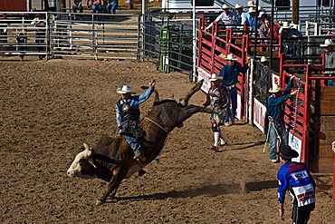 Rodeo, Buckeye, Maricopa County, Arizona, United States of America, North America 