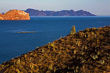 San Carlos, Sonora State, Mexico, Central America