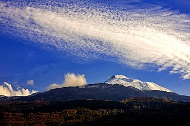 Etna Volcano at 1000 mt., Catania, Sicily, Italy, Europe