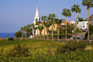 Malfa village, Salina Island, Messina, Italy, Europe