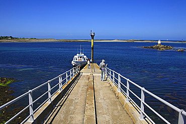 Port, Roscoff, Finistère department , Bretagne, France, Europe