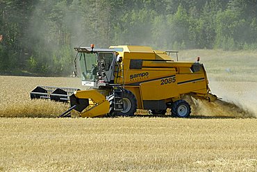 Combine harvester, Italy