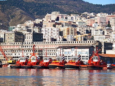 Genoa harbour, Liguria, Italy, Europe